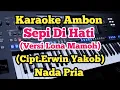 Download Lagu Karaoke Sepi Di Hati - Chaken Winel Supusepa - Lona Mamoh Versi