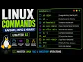 Linux File Directory Management cd cp tree More
