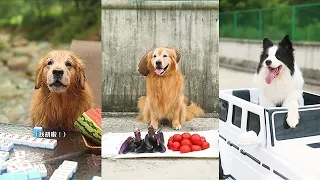 生活需要壹點小治愈，比如夢想照進現實的時候。