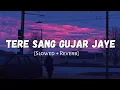 Download Lagu Tere Sang Gujar Jaye Ye Umar Jo Baki Hai | Slowed And Reverb | Armaan Malik | Lofi Vibes