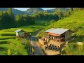 Download Lagu Baru Buka Langsung Viral‼️Warung Tengah Sawah Ini Jadi Primadona Yang Ramai Di Serbu Pengunjung