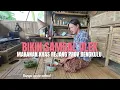 Lagu BIKIN SAMBAL ULEK MAKANAN KHAS REJANG PROV BENGKULU ‼️