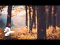 Download Lagu Pumpkin Spice Evenings - Green Hill Music [Fall Jazz Visualizer]