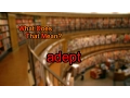 What does adept mean