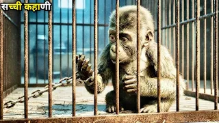 the saddest animal story youll ever watch full movie explanation hindi urdu