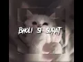 Download Lagu Bholi Si Surat - Dil To Pagan Hai (bollywood song) - speed up | instagram: jxvnav