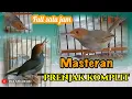 Download Lagu Masteran PRENJAK full isian cocok buat pemikat