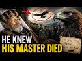The Eagle That Flew to His Owner s Funeral