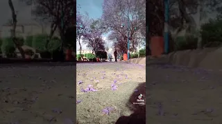 ١٧ مايو ٢٠٢١ 