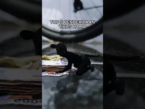 POV TOP 5 PENDERITAAN TIKUS 😹 | top singko #meme #capcut #edit
