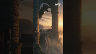 هناك فارس جديد قادم إلى القلعة 