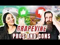 Don t Move to Grapevine Texas Pros and Cons of Grapevine TX Know this Before Moving to Grapevine