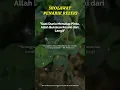 Download Lagu SHOLAWAT NABI PENARIK REZEKI PALING DAHSYAT - SHOLAWAT PENYEJUK HATI PENENANG PIKIRAN!!