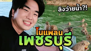 โนแพลนเพชรบุรี! ถ้ำใหญ่สุดที่เคยเห็น ลิงว่ายน้ำกลางเขื่อน จบวันนอนรถบ้านริมทะเล