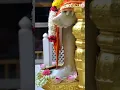 Download Lagu | Sai Ram Sai Shyam Song | | Shirdi Saibaba WhatsApp Status |  Saibaba Devotional Songs | | Shorts |