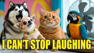 I Showed My Cat These Videos… His Reaction Is Priceless!