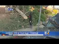 Wind Damage Aftermath Power Outages Closed Schools
