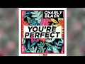 Charly Black - You're Perfect (audio)