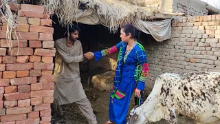 dehati larki sy love best punjabi short movie 2023 new punjabi short film by u punjabi tv