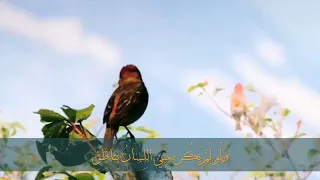 توكلت في رزقي    معن برغوث دندنها