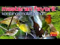 Download Lagu Masteran Lengkap 6 Tembakan Untuk Isian Murai batu dan kacer - Audio Jernih