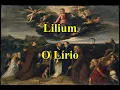 Lilium (Elfen Lied) - Letra & Tradução