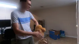 Fox Fursuit Review Suit Up