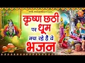 Download Lagu 2025 कृष्णा छठी स्पेशल गीत : Krishna Chhathi Bhajan | Nonstop Krishna Chhati |  Krishna Jhula Song
