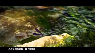 Download 劉德華 Andy Lau 《孤兒淚》官方 MV MP3