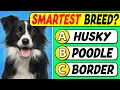 Are You a Dog Expert 40 Question Quiz for TRUE Dog Lovers