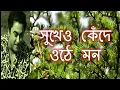 Download Lagu Sukheo Kende Othe mon lyrics |সুখেও কেঁদে উঠে মন | Kishore Kumar hit songs | milon tithi movie song