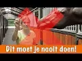 Download Lagu Doe dit NOOIT!! | PaardenpraatTV