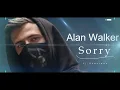 Alan Walker \u0026 ISÁK - Sorry ( Music Video)