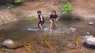 Life in jungle, Eel soup chili tasty for Eating delicious with sister
