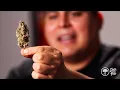 The Perfect Strain