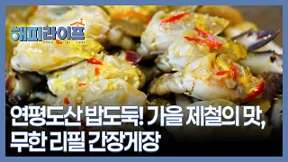 연평도산 밥도둑! 가을 제철의 맛, 무한 리필 간장게장 MBN 260907 방송