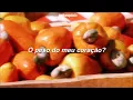 Liniker - Caju (Letra)