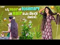 1 year లో Rosemary నా జుట్టు ని ఏం చేసిందో తెలుసా 🫣🤔