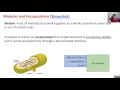 Inheritance2 5 Encapsulation