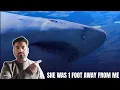 Download Lagu Getting Closest to Real Shark in Canada | Ripley’s Aquarium of Canada Tour