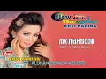 Download Lagu ERVI KARINA - MR MAHMOOD ( Official Video Musik ) HD