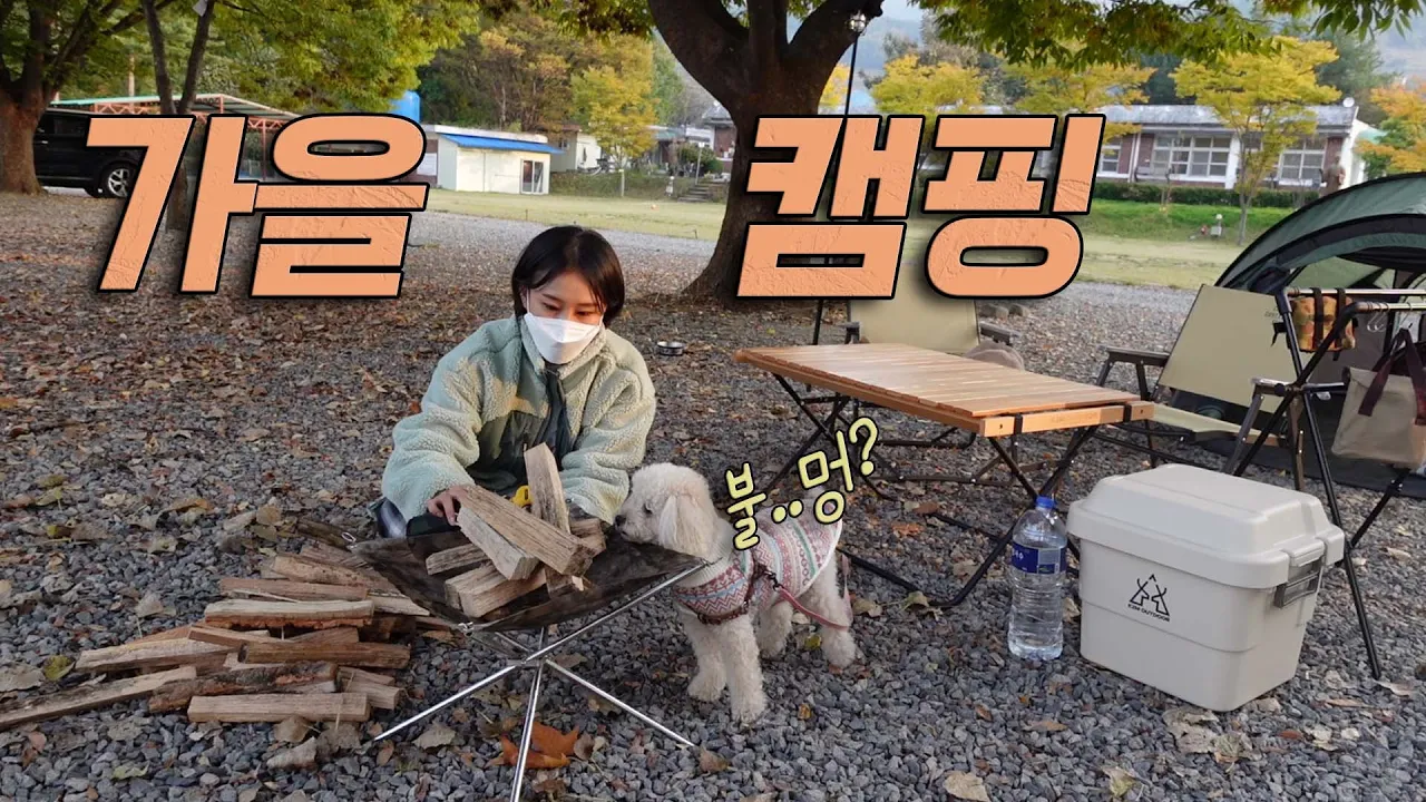 [솔로캠핑] 낙엽 가득한 캠핑장에서 원터치텐트로 강아지랑 가을캠핑 하기ㅣ분식 컨셉ㅣ제천 옛날학교캠핑장 썸네일