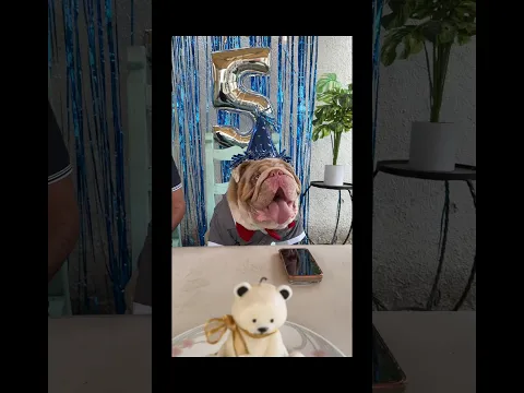 POLAR RECIBIÓ UNA LLAMADA POR SU CUMPLEAÑOS… Y TODO SALIÓ MAL 😂