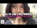 Lagu DJ WE CAN'T BE FRIENDS STYLE CANDU BY DJ DANVATA | JADAG JEDUG VIRAL DI TIKTOK
