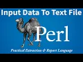 Perl Secret Hack How to Capture STDIN Into a File Most Beginners Miss This