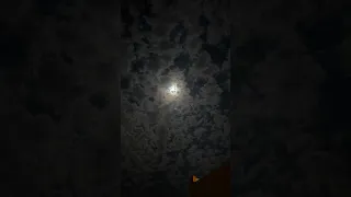 حمزة نمرة بدون موسيقي تحفه 