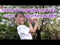 Download Lagu หยุดคุยข้ามเขตเพื่อคุณเท่านั้น - Lily if fresh Ft. ดังเกริกพล DJ RMIX