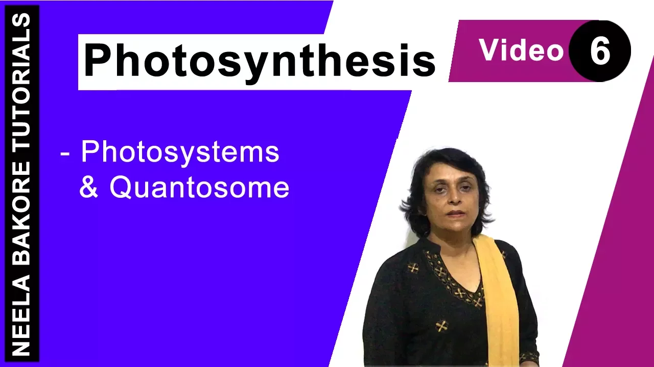 Photosynthesis | NEET | Photosystems & Quantosome