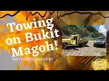 Download Lagu Bukit Magoh On Towing ! Nissan Navara vs Towing vs Revo Single Cab !!