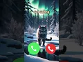 Download Lagu Cat Calling – Ring Ring Meow! 📞🐱 #calling #ringtone